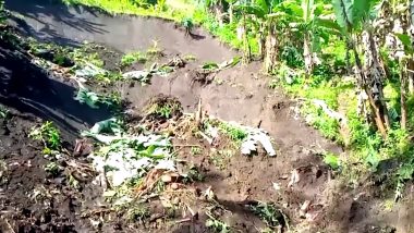 Bolowa Landslide Incident: 20 Killed After Landslide Hits River in Eastern Congo As People Wash Clothes and Clean Kitchenware (Watch Video)