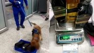 Cocaine in Whiskey Bottles: Tanzanian Arrested at Delhi Airport After Dog Squad K9 Detects Narcotic Substances in Baggage (Watch Video)