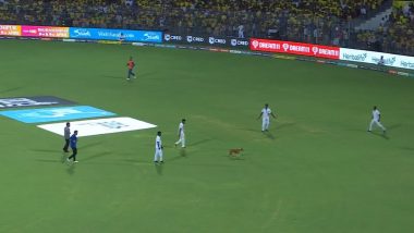 Dog Enters Chepauk Stadium, Delays Start of Play in CSK vs LSG IPL 2023