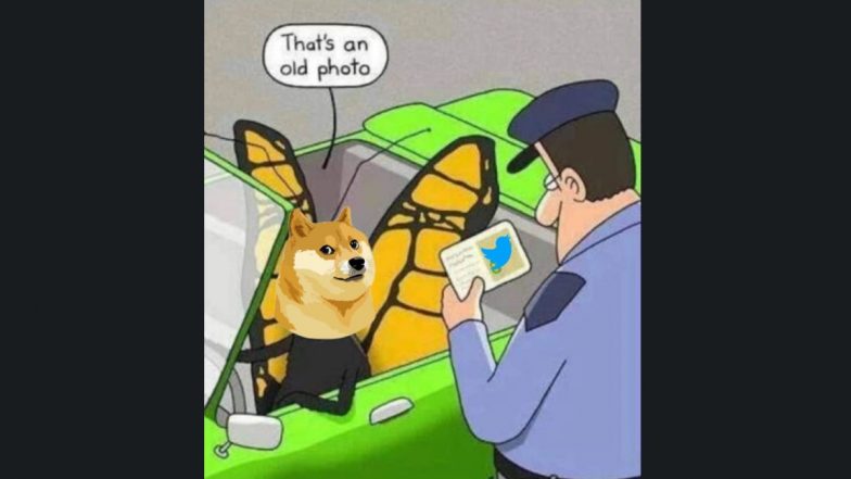 Elon Musk Replaces Twitter's Blue Bird Logo with 'Doge' Meme to Promote Dogecoin Cryptocurrency