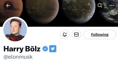 Who or What Is Harry Bōlz? Netizens Wonder As Elon Musk Briefly Changes His Twitter Name