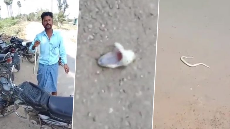 Tamil Nadu Man Bites Off Snake’s Head Over ‘Revenge’, Three Arrested After Shocking Video Goes Viral