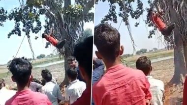 UP Horror: Village Head Hangs Suspected Thief From Tree, Sets Fire Below in Firozabad District (Disturbing Video)
