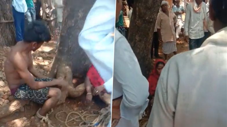 Madhya Pradesh Shocker: Brother-Sister Tied to Tree, Brutally Thrashed After Villagers Doubt Them As Lovers in Khandwa; Three Arrested After Shocking Video Goes Viral