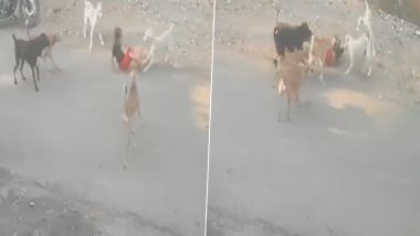 Dog Attack in Nagpur: Child Badly Injured After Being Attacked by Pack of Stray Dogs, Horrifying Incident Caught on CCTV (Watch Video)