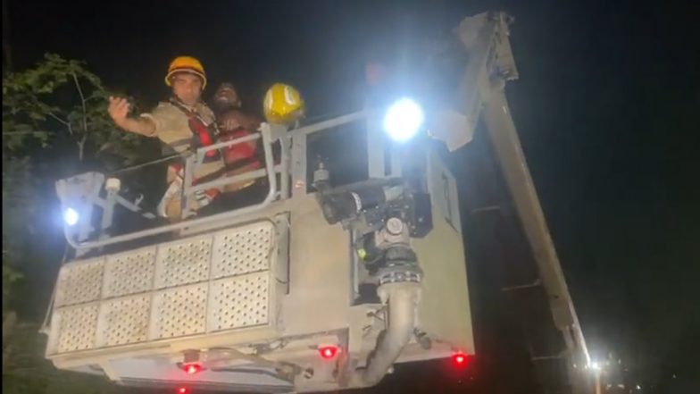 Noida: Bihar Man Climbs High-Voltage Electric Tower, Demands YouTuber Manish Kashyap’s Release; Rescued (Watch Video)