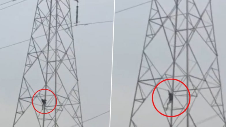 Uttar Pradesh: Refused Money For Liquor, Man Climbs High-Tension Electricity Tower in Hapur (Watch Video)