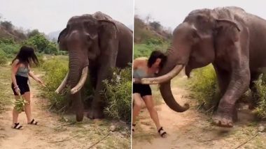 Angry Elephant Tosses Away Woman Who Was Trying to Tease Tusker With Bananas, Horrifying Video Goes Viral