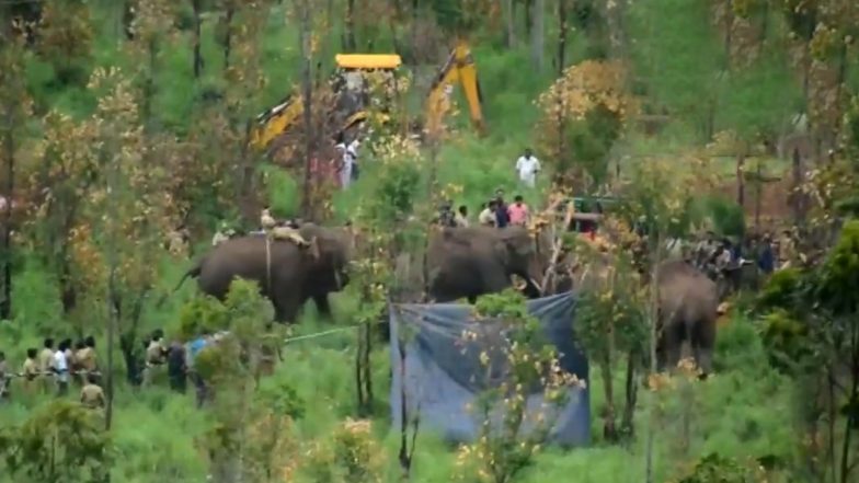 Mission Arikkomban: Rogue Tusker Located by Taskforce in Kerala’s Chinnakanal, Captured and Shifted to Another Location (Watch Video)