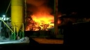 Kolkata Fire: Massive Blaze Erupts at Falguni Market in Salt Lake Area, Dozens of Shanties Gutted Leaving People Homeless (Watch Video)
