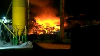 Kolkata Fire: Massive Blaze Erupts at Falguni Market in Salt Lake Area, Dozens of Shanties Gutted Leaving People Homeless (Watch Video)