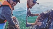Man Pets, Showers Kisses on Whale Margarita, Viral Video Leaves Netizens Impressed