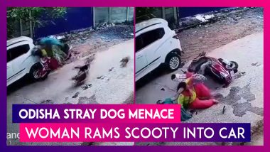 Odisha Stray Dog Menace: Woman Rams Scooty Into Parked Car To Escape Dog Chase; Horrifying Video Goes Viral