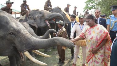 President Droupadi Murmu Inaugurates Gaj Utsav 2023 at Kaziranga National Park (See Pics)