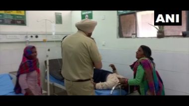 Baisakhi 2023: Seven Killed, 10 Injured After Truck Runs Over Pilgrims in Hoshiarpur