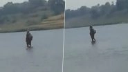 Madhya Pradesh Woman 'Walking on Water' Video Goes Viral, Gets Mistaken as Goddess; Here's the Truth