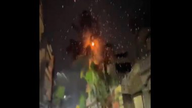 Burning Tree: Lightening Strikes Coconut Tree, Ignites Massive Fire in Indore (Watch Video)