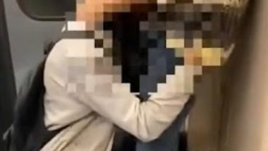 Delhi Metro Viral Video: Oral Sex Clip of Two Men Left Commuters and Netizens Shocked to the Core!