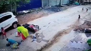 Stray Dog Menace in Odisha: Chased by Street Dogs, Woman Rams Scooty Into Car in Berhampur, CCTV Video of Horrifying Accident Goes Viral