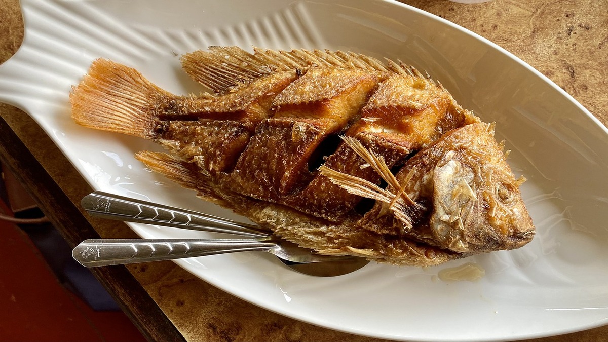 From Belon Oysters to Safridia, Top 5 Seafood That You Must Eat Once in ...