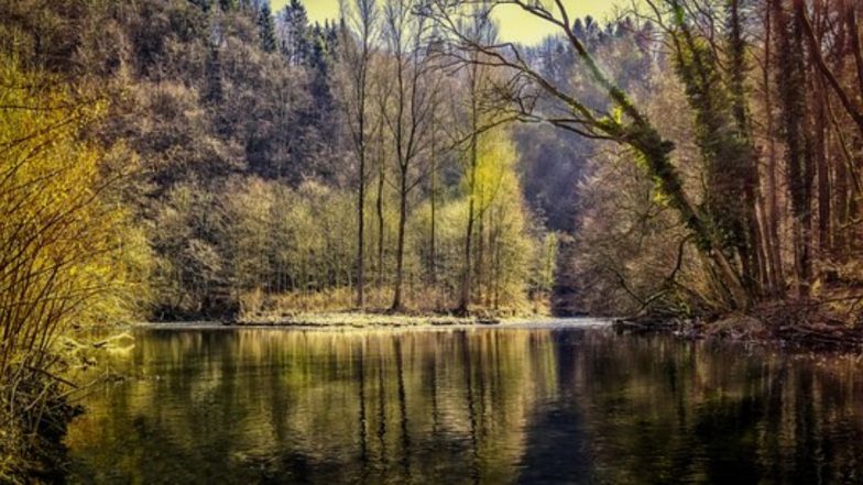 India Conducts First-Ever Census of Water Bodies; Here’s Some Revelations