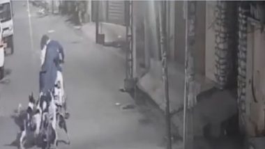 Dog Attack Video: CCTV Camera Captures Two Men's Narrow Escape After Being Attacked by Pack of Aggressive Street Dogs in Jalandhar