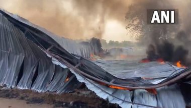 Tamil Nadu Fire: Massive Blaze Engulfs Furniture Manufacturing Company in Coimbatore, Firefighters Reach On Spot (Watch Video)