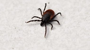 What Is Tick Virus, Spreading in England? As First Case of TBEV Detected in UK, Know Symptoms, Causes, Treatment and Preventive Measures
