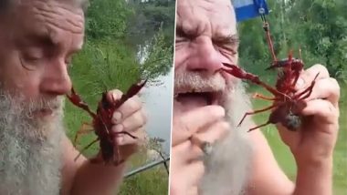Man Gets Bitten by Scorpion on Nose After Bringing It Close to His Face, Scary Video Surfaces