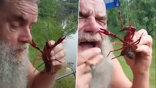 Man Gets Bitten by Scorpion on Nose After Bringing It Close to His Face, Scary Video Surfaces