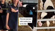 Australia: &lsquo;Happy&rsquo; Cow Goes Viral For Smiley Face Pattern on Its Hide (Watch Video)