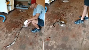 Headless Snake Strikes! Serpent With Its Head Severed Attacks Man, Horrifying Video Goes Viral