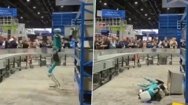 Robot Collapses From Tiredness After 'A Busy Working Day', Video Goes Viral