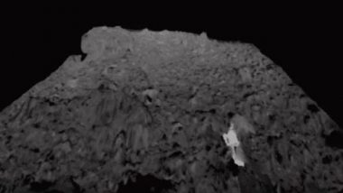 Alien Life Found? Conspiracy Theorist Claims to Find UFO Hidden in NASA’s Ryugu Asteroid (Watch Video)