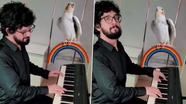 Man Plays Piano as Pet Bird Joins In With Its Melodious Singing; This Viral Clip Is A Must Watch