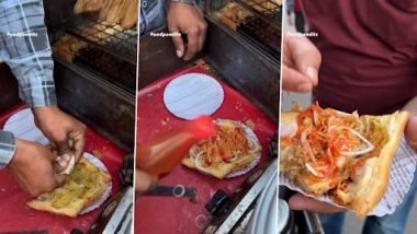 Momos Patty: Food Blogger Tries Aloo Patty Filled With Momos in Haridwar, Video of Unique Combination of Two Different Street Food Goes Viral
