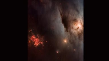Hubble Launchiversary 2023: NASA Telescope Captures Dark Nebula Cloaking Stars Within Dusty Depths, Space Agency Shares Mesmerising Pics