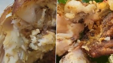 Maggots Found in Fried Chicken Served at Restaurant in Malaysia, Video Leaves Netizens Disgusted