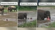 Baby Elephant Rushes to Rescue Man Drowning in Fast-Flowing River, Adorable Old Video Goes Viral Again