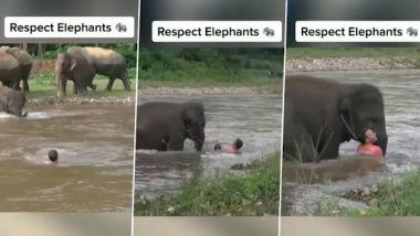 Baby Elephant Rushes to Rescue Man Drowning in Fast-Flowing River, Adorable Old Video Goes Viral Again