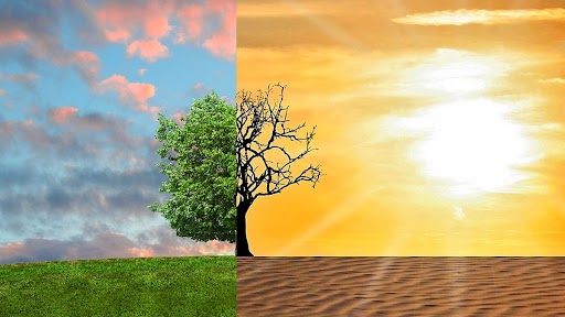 India Lost Over 1.3 Lakh Lives in 573 Disasters Linked to Extreme Weather, Climate Change in 50 Years: World Meteorological Department