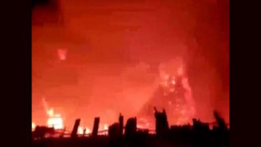 Pune Fire: Three Dead Massive Blaze Erupts At Decoration Material Godown in Wagholi  (Watch Video)