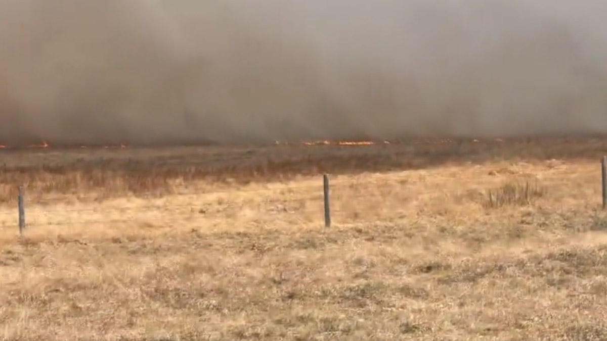 Agency News | Alberta Declares State of Emergency Over Wildfires in ...