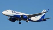 IndiGo Dubai-Bound Flight Suffers Bird Hit, Take-Off Aborted at Mangaluru International Airport in Karnataka