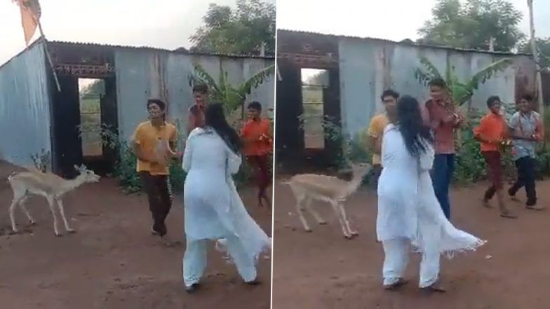 Baby Blackbuck Dances With Kids, Grooves With Them On the Beats of Kirtan (Watch Video)