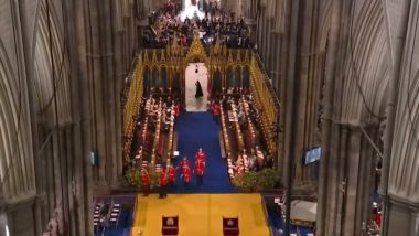 Grim Reaper Spotted at King Charles' Coronation! Viral Video of Bizarre Cloaked Figure Run Past Westminster Abbey Looks Disturbing