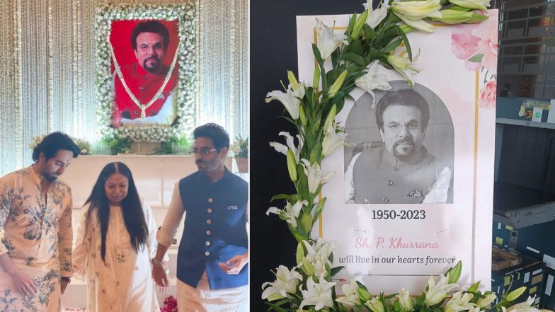 Ayushmann Khurrana Pens Heart-Wrenching Note on Insta Remembering His Late Father (View Post)