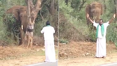 Man Approaches Wild Elephant With Folded Hands, See What Jumbo Did Next (Watch Video)