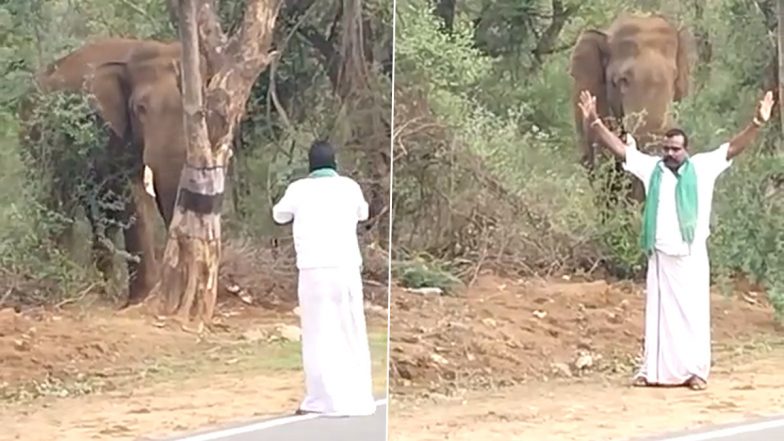 Man Approaches Wild Elephant With Folded Hands, See What Jumbo Did Next (Watch Video)