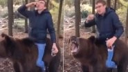 Drunk Russian Man Sits on Bear While Drinking Liquor, Leaves Wild Animal Furious (Watch Video)